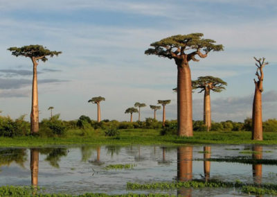 Le Sud de Madagascar en 15 jours