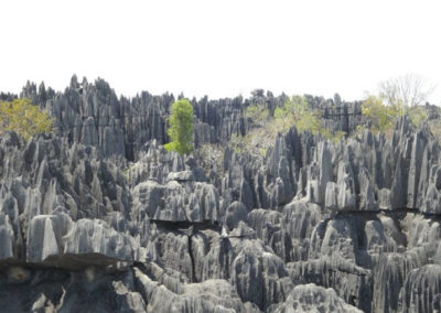 Les Tsingy du Bemaraha