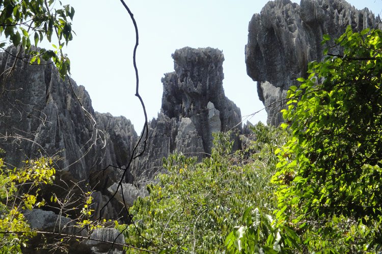 Les Tsingy du Bemaraha