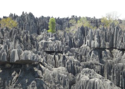 L’Ouest de Madagascar en 15 jours